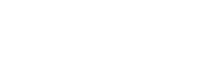 exide